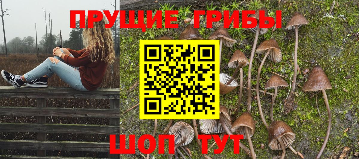 наркотики  Галлюциногенные грибы GOLDEN TEACHER  Вход с VPN  Сальск 