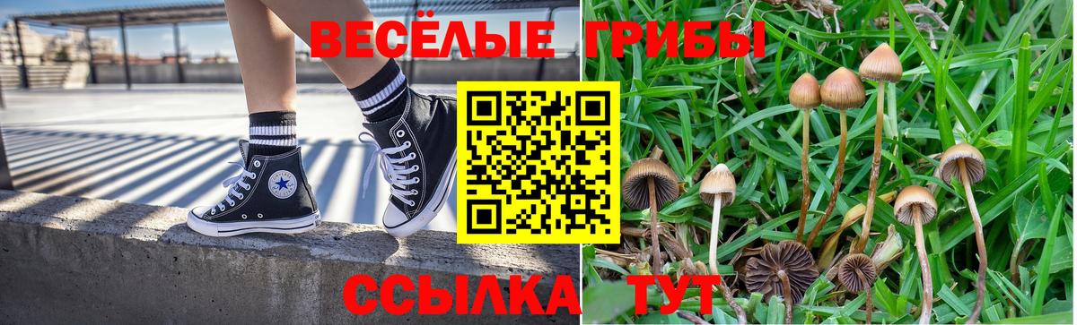 Псилоцибиновые грибы мухоморы Сальск