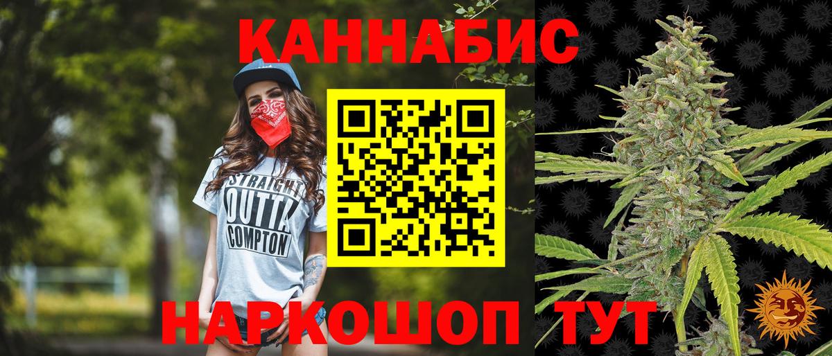 МАРИХУАНА сатива Сальск